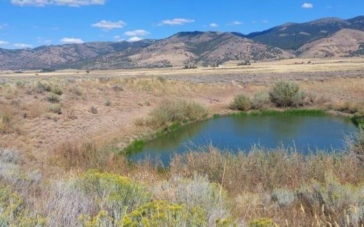 photo for a land for sale property for 04037-50510-Davis Creek-California