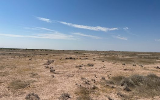 photo for a land for sale property for 30061-33268-Deming-New Mexico