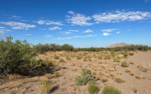 photo for a land for sale property for 30061-34714-Deming-New Mexico