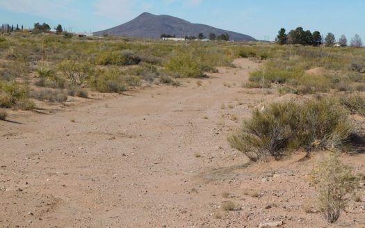 photo for a land for sale property for 30061-36373-Deming-New Mexico