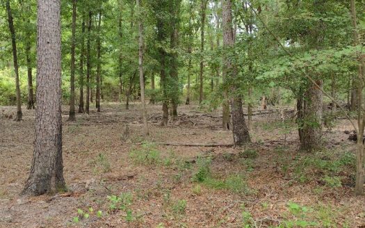 photo for a land for sale property for 42249-23076-Diana-Texas