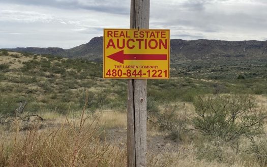 photo for a land for sale property for 02033-11300-Douglas-Arizona