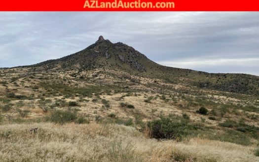 photo for a land for sale property for 02033-12623-Douglas-Arizona