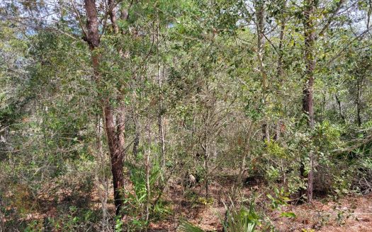 photo for a land for sale property for 09090-89480-Dunnellon-Florida
