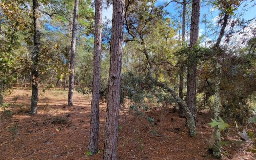 photo for a land for sale property for 09090-89476-Dunnellon-Florida