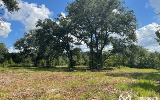 photo for a land for sale property for 39024-23060-Early Branch-South Carolina