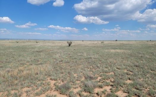 photo for a land for sale property for 30050-19607-Edgewood-New Mexico