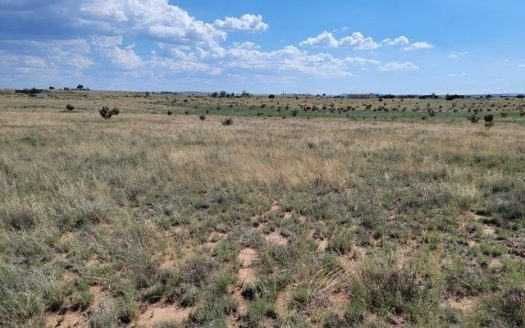 photo for a land for sale property for 30050-19610-Edgewood-New Mexico