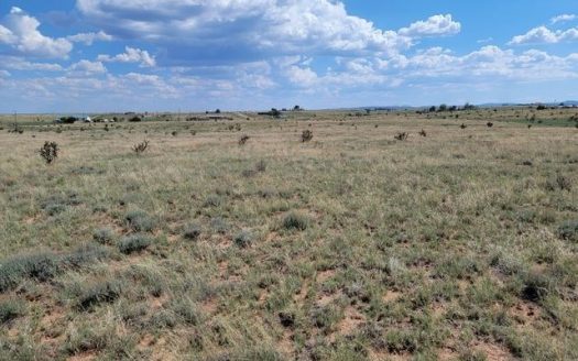 photo for a land for sale property for 30050-20409-Edgewood-New Mexico
