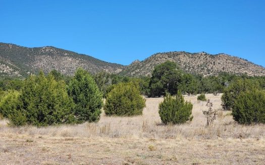 photo for a land for sale property for 30050-54884-Edgewood-New Mexico