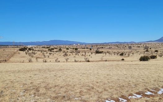 photo for a land for sale property for 30050-55044-Edgewood-New Mexico