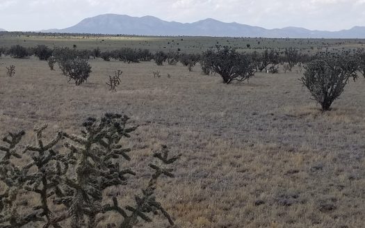 photo for a land for sale property for 30050-69933-Edgewood-New Mexico