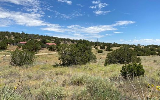 photo for a land for sale property for 30050-41896-Edgewood-New Mexico