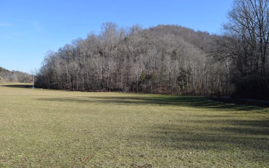 photo for a land for sale property for 41095-04463-Eidson-Tennessee