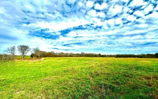 photo for a land for sale property for 10090-55056-Elberton-Georgia