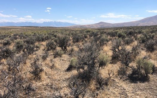 photo for a land for sale property for 27015-22007-Elko-Nevada