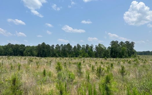 photo for a land for sale property for 03019-03808-Emerson-Arkansas