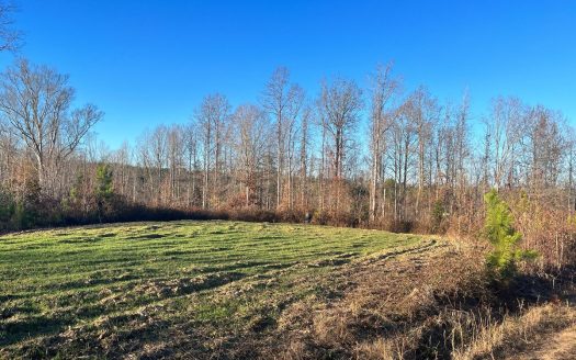 photo for a land for sale property for 39053-78126-Enoree-South Carolina