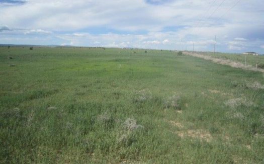 photo for a land for sale property for 30050-42077-Estancia-New Mexico