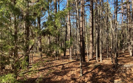 photo for a land for sale property for 03107-10063-Fairfield Bay-Arkansas