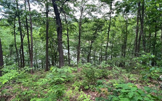 photo for a land for sale property for 03107-10152-Fairfield Bay-Arkansas