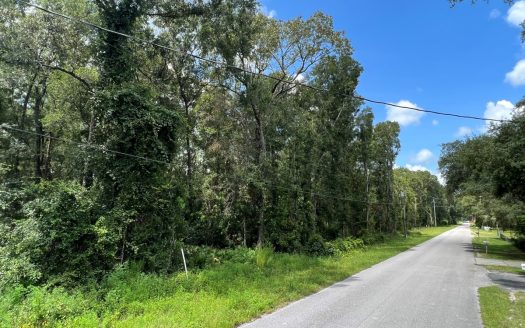 photo for a land for sale property for 09090-86943-Fanning Springs-Florida