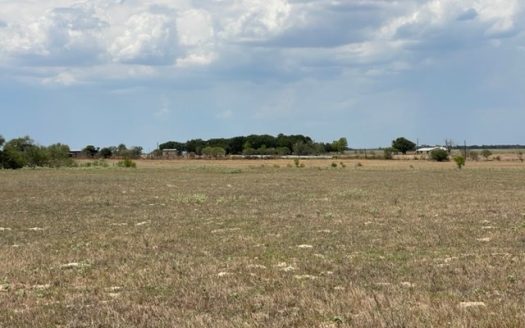 photo for a land for sale property for 42285-19313-Floresville-Texas