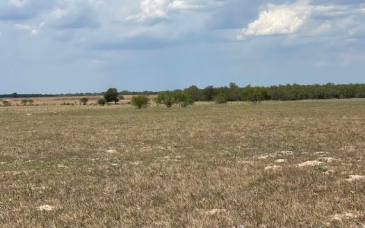 photo for a land for sale property for 42285-19168-Floresville-Texas