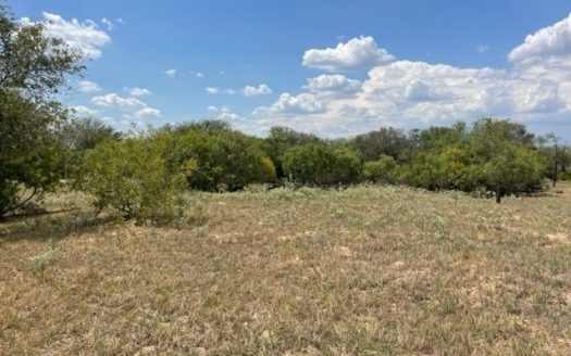 photo for a land for sale property for 42285-19171-Floresville-Texas