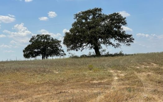 photo for a land for sale property for 42285-19173-Floresville-Texas