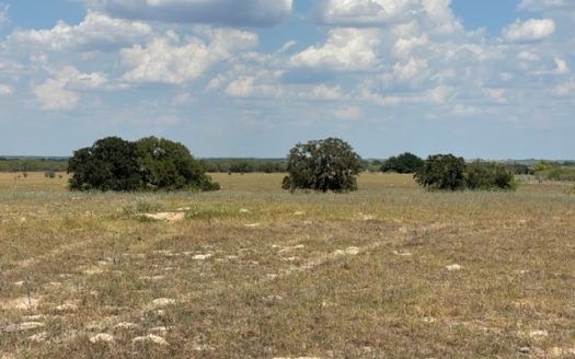 photo for a land for sale property for 42285-19317-Floresville-Texas