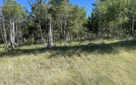 photo for a land for sale property for 05044-71834-Florissant-Colorado