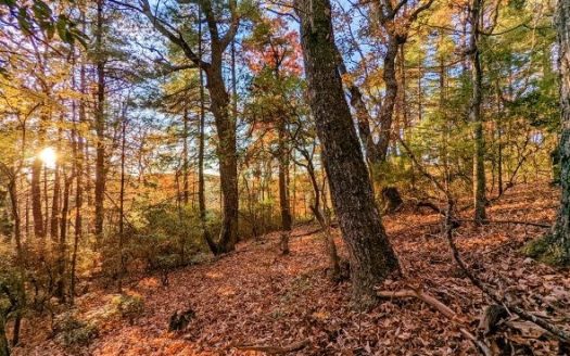 photo for a land for sale property for 45038-16682-Floyd-Virginia