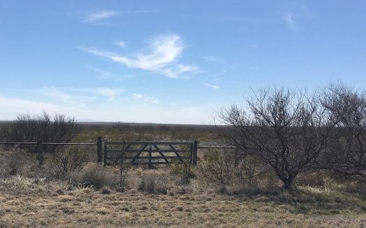 photo for a land for sale property for 42138-21018-Fort Stockton-Texas