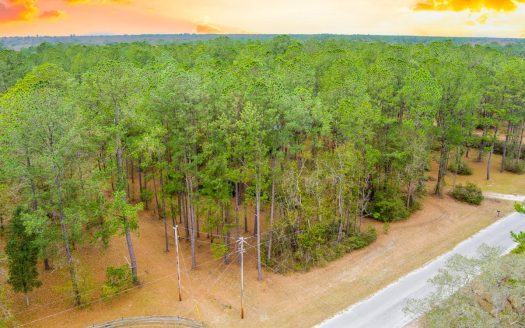 photo for a land for sale property for 09090-18841-Gainesville-Florida