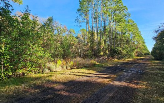 photo for a land for sale property for 09090-19920-Georgetown-Florida