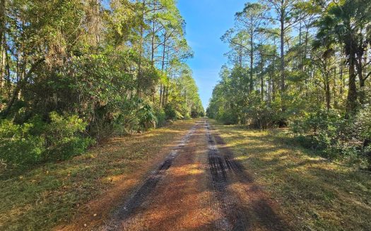 photo for a land for sale property for 09090-21981-Georgetown-Florida