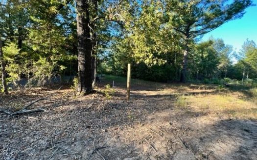 photo for a land for sale property for 42251-90077-Gilmer-Texas