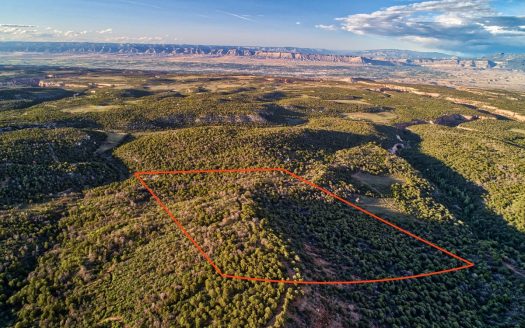 photo for a land for sale property for 05101-79472-Glade Park-Colorado