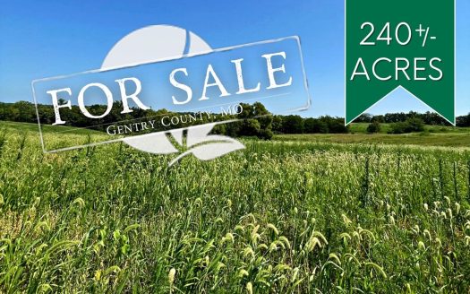 photo for a land for sale property for 24088-12897-Grant City-Missouri