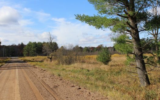 photo for a land for sale property for 48072-65366-Granton-Wisconsin