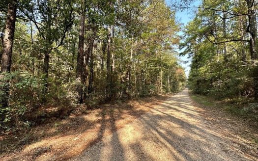 photo for a land for sale property for 23042-39928-Greensburg-Louisiana