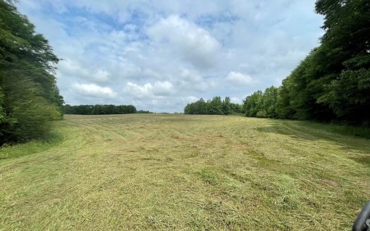 photo for a land for sale property for 01024-23050-Greenville-Alabama