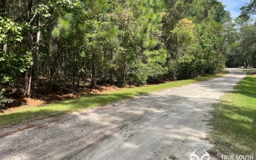 photo for a land for sale property for 39024-23063-Hardeeville-South Carolina