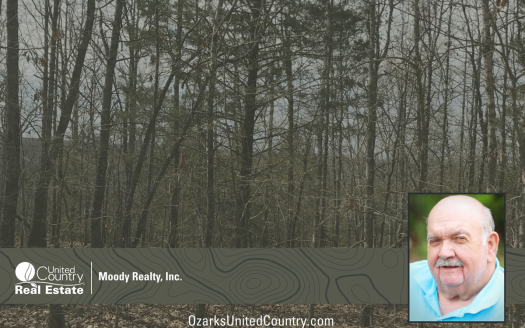 photo for a land for sale property for 03075-41810-Hardy-Arkansas