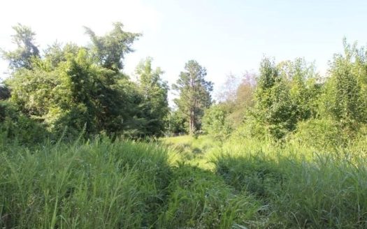 photo for a land for sale property for 03045-41070-Harrison-Arkansas