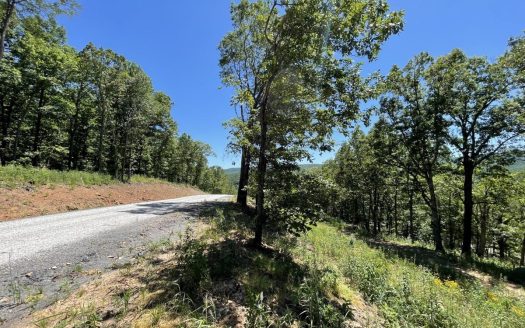 photo for a land for sale property for 03045-41750-Harrison-Arkansas