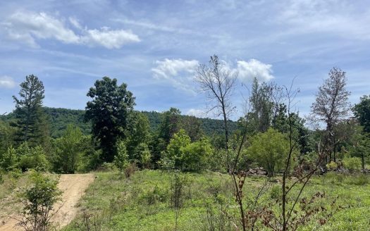 photo for a land for sale property for 03045-41850-Harrison-Arkansas