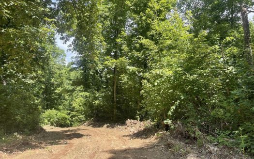 photo for a land for sale property for 03045-41870-Harrison-Arkansas