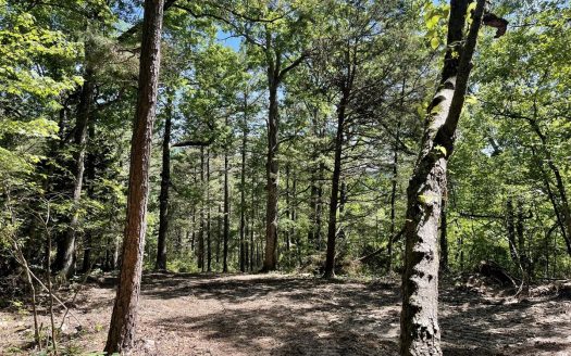 photo for a land for sale property for 03045-41900-Harrison-Arkansas
